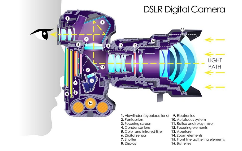 DSLR-Kamera-Nasil-Calisir-1024x640 Aynasız Fotoğraf Makinesi İle DSLR (Aynalı) Arasındaki Farklar 